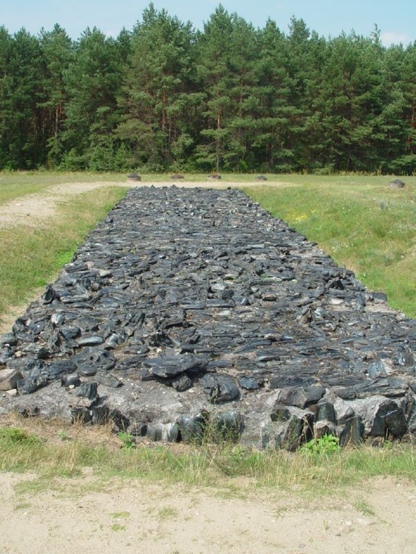 Treblinka area of the burning pits